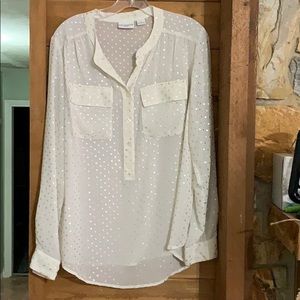Sheer Off White with Silver Polka Dots Blouse